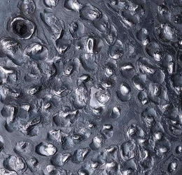 金屬材質(zhì)與金屬材料的特性與應(yīng)用